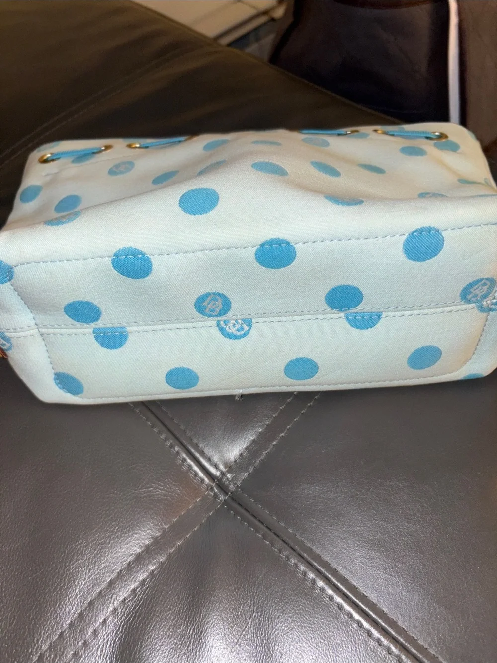 Dooney & Bourke Pale Blue Pouch with Blue Polka Dots